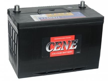 Аккумулятор CENE100 Ач-800 (115D31R) (DELKOR) 306х173х225