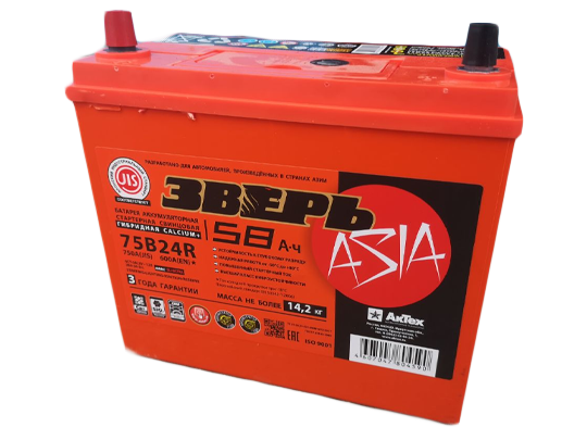 Аккумулятор ЗВЕРЬ Asia 58 ЗR-600 пр.