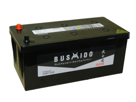 BUSHIDO AGM 250 А/ч обр/п